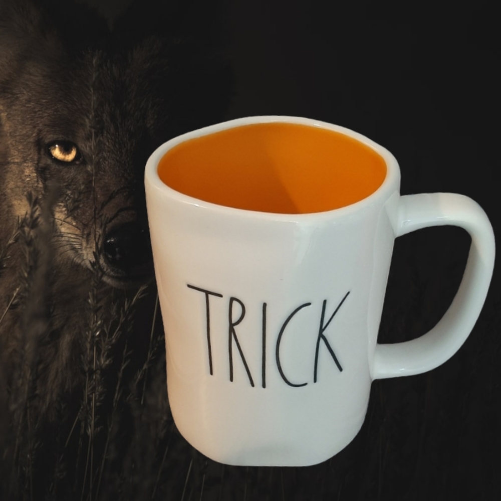 **Rae Dunn TRICK TREAT mug